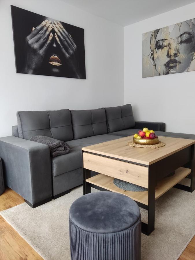 Apartament Janis Apartment Zator Luaran gambar