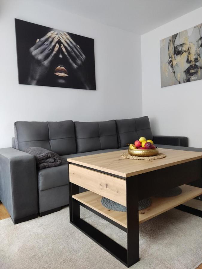 Apartament Janis Apartment Zator Luaran gambar